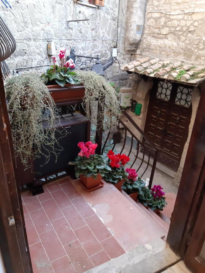 Villa Gusto E Benessere Sweet Home E Ristorante Sacrofano Екстериор снимка